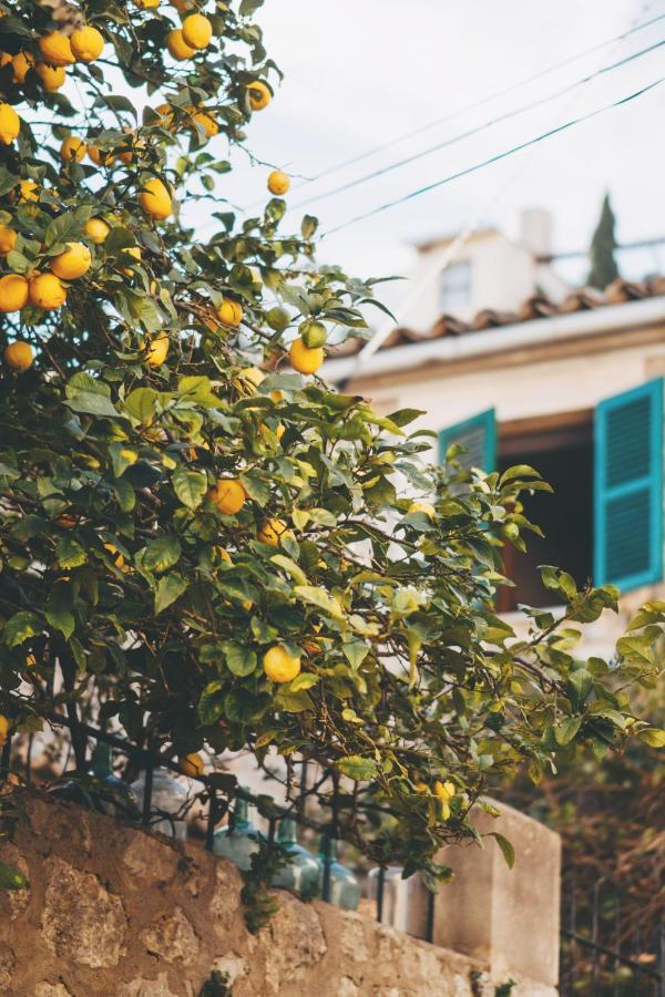 Casa Vallibre Willa Sóller